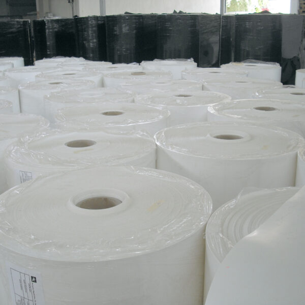 Manure Removal Belts for Poultry Farming Industry