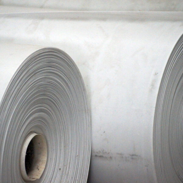 Manure Removal Belts for Poultry Farming Industry - 5