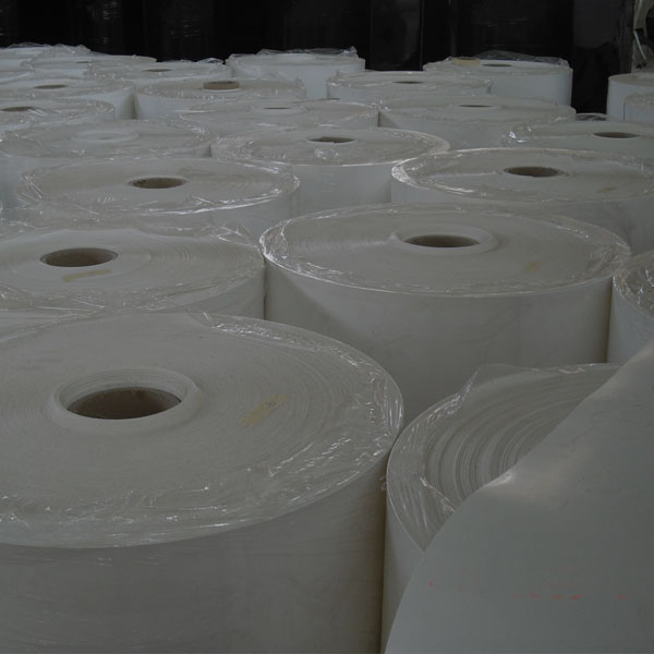 Manure Removal Belts for Poultry Farming Industry - 9